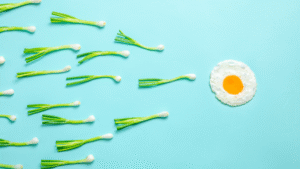 Fertility-Boosting Recipe Bundle