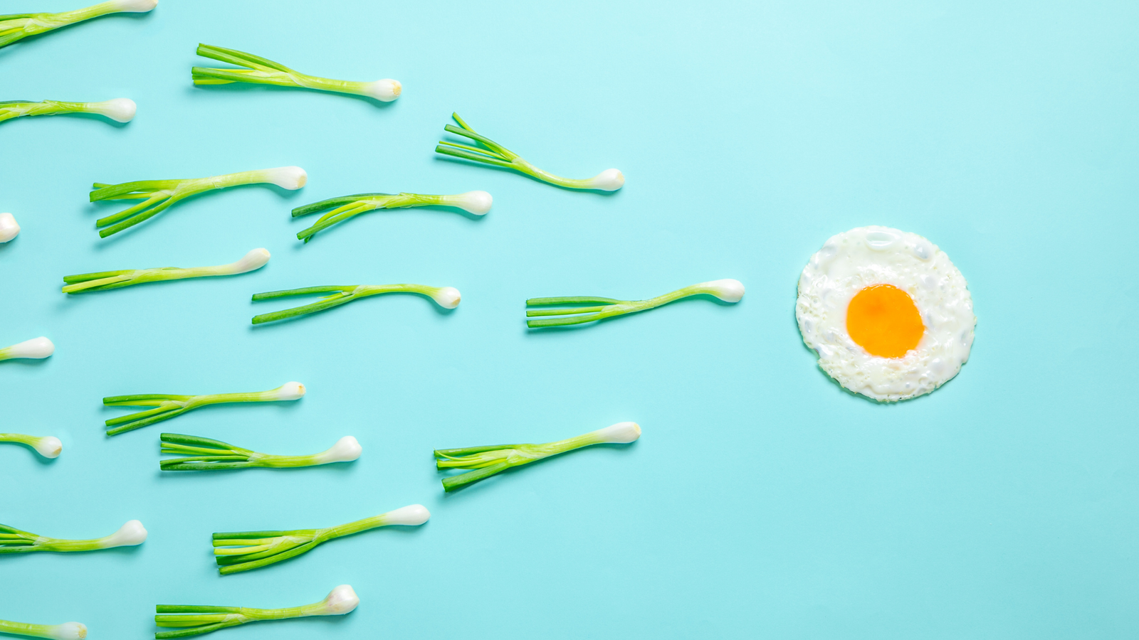 Fertility-Boosting Recipe Bundle